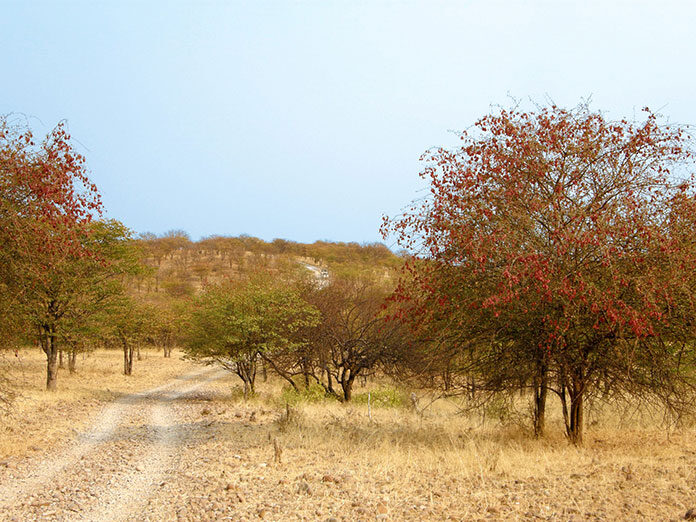 Namibia